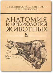 Анатомия и физиология животных - Зеленевский Н. В.
