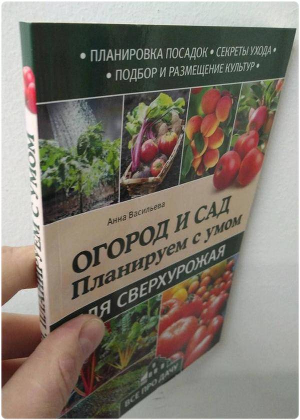 Книга: Огород и сад: планируем с умом для сверхурожая - Васильева А.