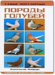 Самые популярные породы голубей - Шмидт Х.