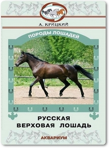 Русская верховая лошадь - Крицкий А.
