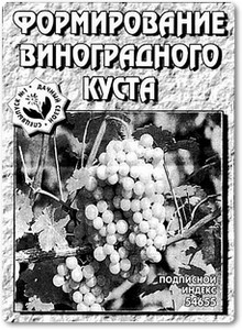 Формирование виноградного куста - Синицын А.