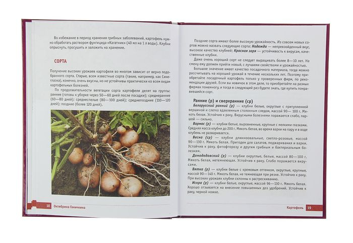 Книга: Картофель и капуста Секреты урожая — Ганичкина О.