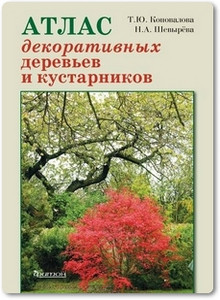 Атлас декоративных деревьев и кустарников - Коновалова Т. Ю.