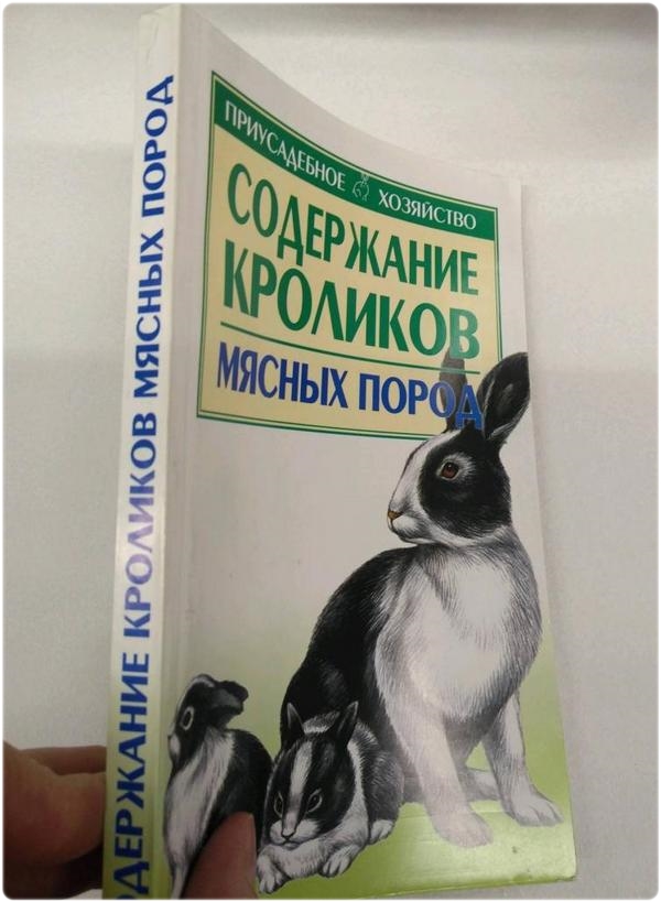 Книга: Содержание кроликов мясных пород - Бондаренко С. П.