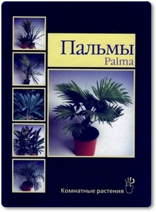 Пальмы - Курлович А. Е.