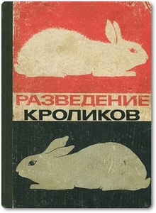 Разведение кроликов - Зусман Н. С.