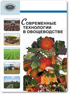 Современные технологии в овощеводстве - Аутко А. А. и др.
