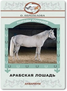 Арабская лошадь - Перепелова О.