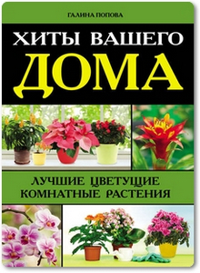 Хиты вашего дома: Лучшие цветущие комнатные растения - Попова Г.