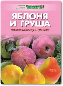 Яблоня и груша: Технология выращивания - Панкратова А. Б.