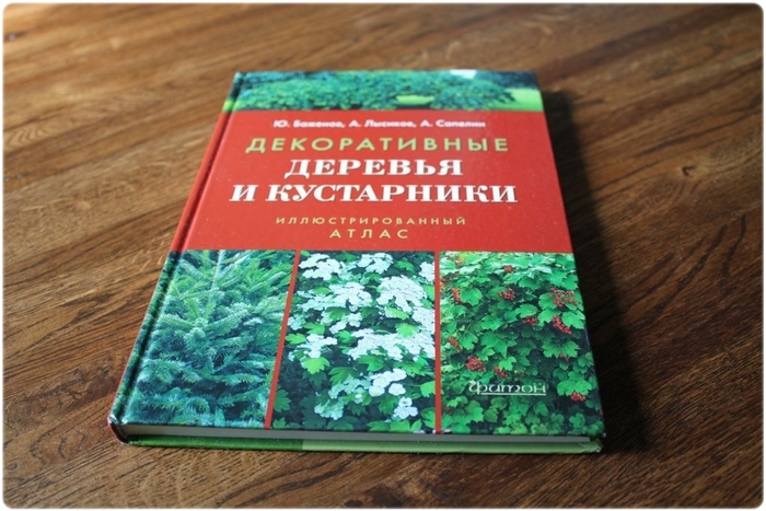 Книга: Декоративные деревья и кустарники - Баженов Ю., Лысиков А., Сапелин А.