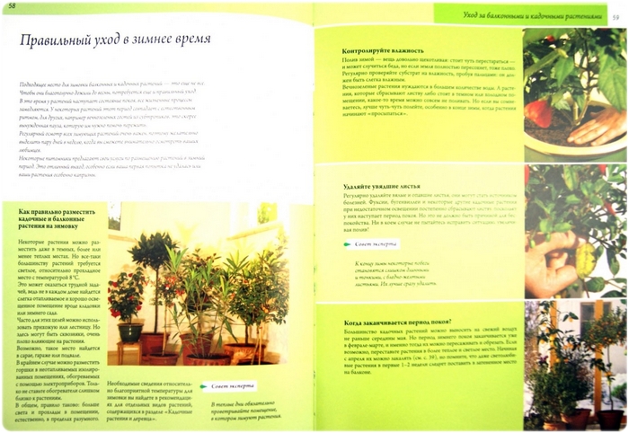 Книга: Растения для балконов и террас - Иоахим Майер