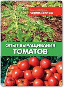 Опыт выращивания томатов - Панкратова А. Б.