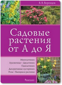 Садовые растения от А до Я - Воронцов В.