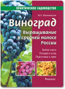 Виноград: Выращивание в средней полосе России - Малиновская М.