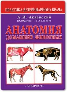 Анатомия домашних животных - Акаевский А. И. и др.