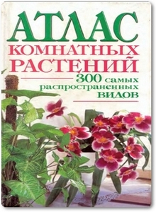 Атлас комнатных растений - Лимаренко Л. Ю.