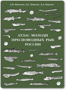 Атлас молоди пресноводных рыб России - Макеева А. П. и др.