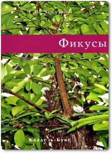 Фикусы - Чекурова Г. В.
