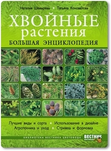 Хвойные растения - Шевырева Н.