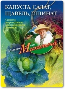 Капуста, салат, щавель, шпинат - Звонарев Н. М.