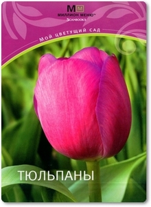 Тюльпаны - Митронина Л.