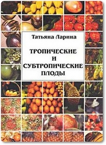 Тропические и субтропические плоды - Ларина Т.