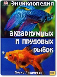 Энциклопедия аквариумных и прудовых рыбок - Девид Альдертон