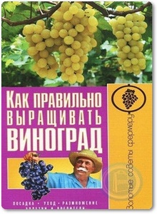 Как правильно выращивать виноград - Демин И. О.