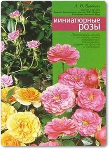 Миниатюрные розы - Бумбеева Л. И.