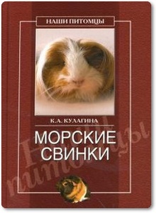 Морские свинки - Кулагина К. А.