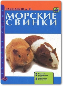 Морские свинки - Рахманов А. И.