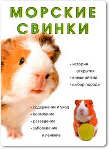 Морские свинки - Вишнеева М.