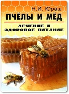Пчёлы и мёд: лечение и здоровое питание - Юраш Н. И.
