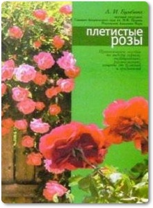 Плетистые розы - Бумбеева Л. И.