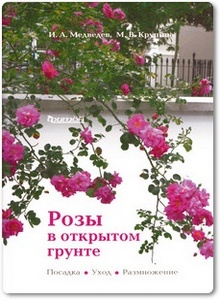 Розы в открытом грунте - Медведев И. А.