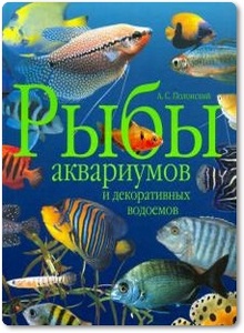 Рыбы аквариумов и декоративных водоемов - Полонский А. С.
