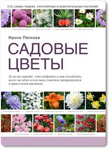 Садовые цветы - Пескова И.