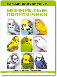 Самые популярные волнистые попугайчики - Тео Винс