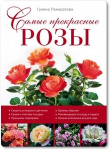 Самые прекрасные розы - Панкратова Г. М.