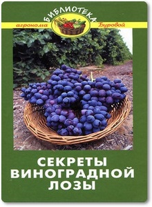 Секреты виноградной лозы - Бурова В. В.
