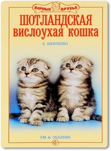 Шотландская вислоухая кошка - Шевченко Е. А.