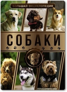 Собаки: Большая энциклопедия - Вайткене Л. Д. и др.