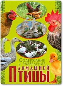 Содержание и разведение домашней птицы - Балашов К. В.