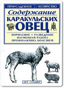 Содержание каракульских овец - Бондаренко С. П.