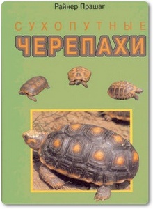 Сухопутные черепахи - Прашага Р.