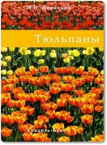 Тюльпаны - Данилина Н. Н.