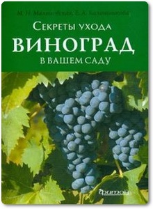 Виноград в вашем саду - Малиновская М. Н.
