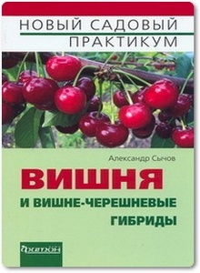 Вишня и вишне-черешневые гибриды - Сычов А.