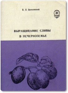 Выращивание сливы в нечерноземье - Витковский В. Л.